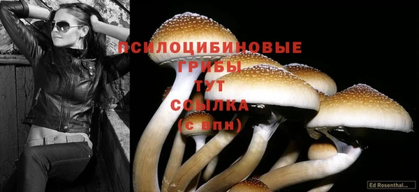 прущие крисы Баксан