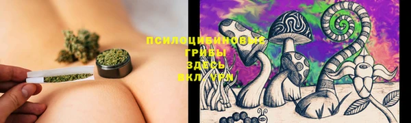 прущие крисы Баксан