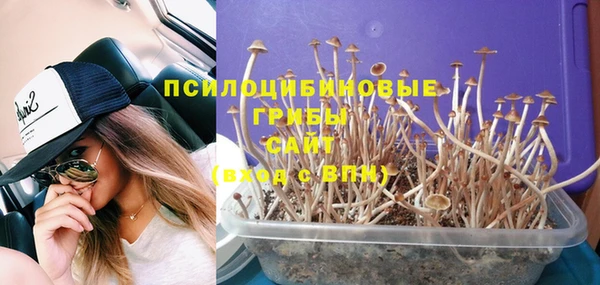 прущие крисы Баксан
