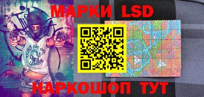 стафф Шелехов