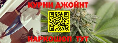 стафф Шелехов
