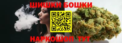 стафф Шелехов