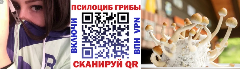 сайты даркнета клад  Белогорск  Галлюциногенные грибы Psilocybine cubensis 