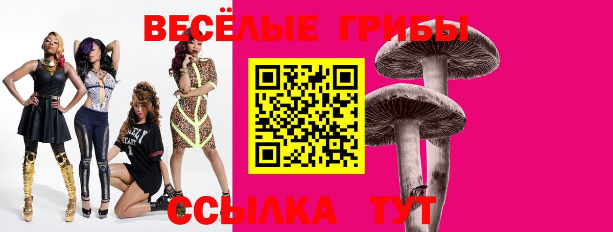 где можно купить наркотик  Галлюциногенные грибы MAGIC MUSHROOMS  Вход с VPN  Белогорск 